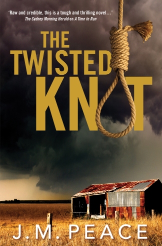 3793 Twisted Knot_COVER